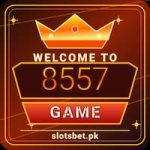 8557 Game